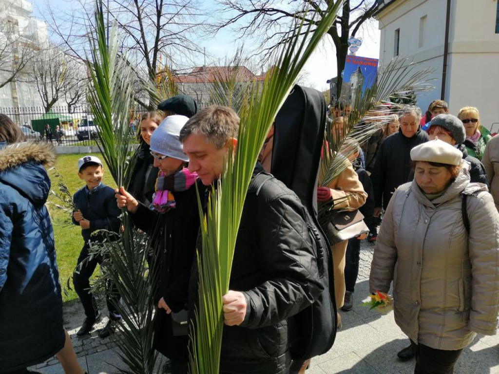 Młodzi ze Słupi wygrali diecezjalny konkurs palm