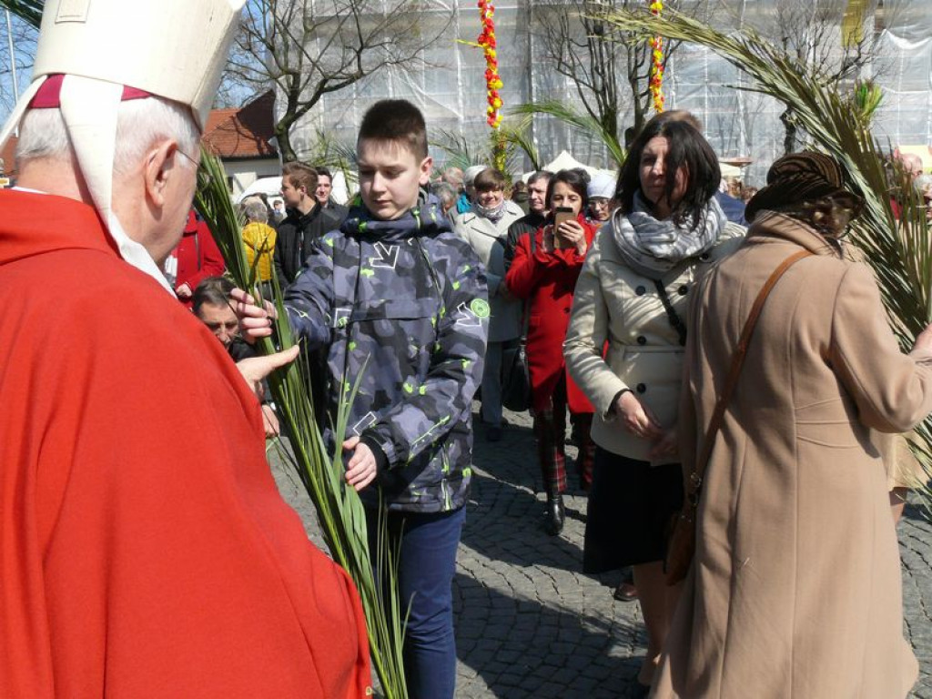 Młodzi ze Słupi wygrali diecezjalny konkurs palm