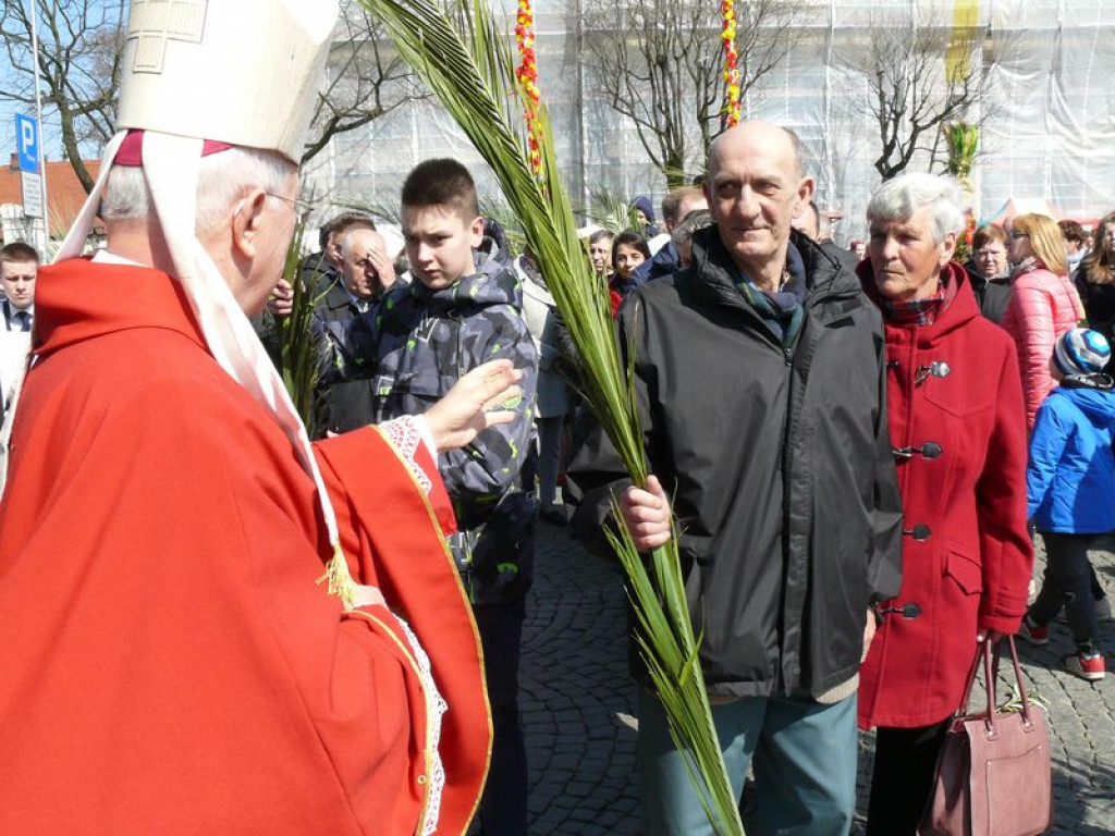 Młodzi ze Słupi wygrali diecezjalny konkurs palm