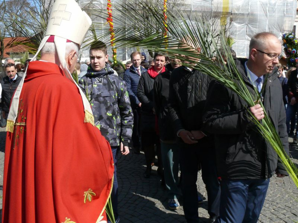 Młodzi ze Słupi wygrali diecezjalny konkurs palm