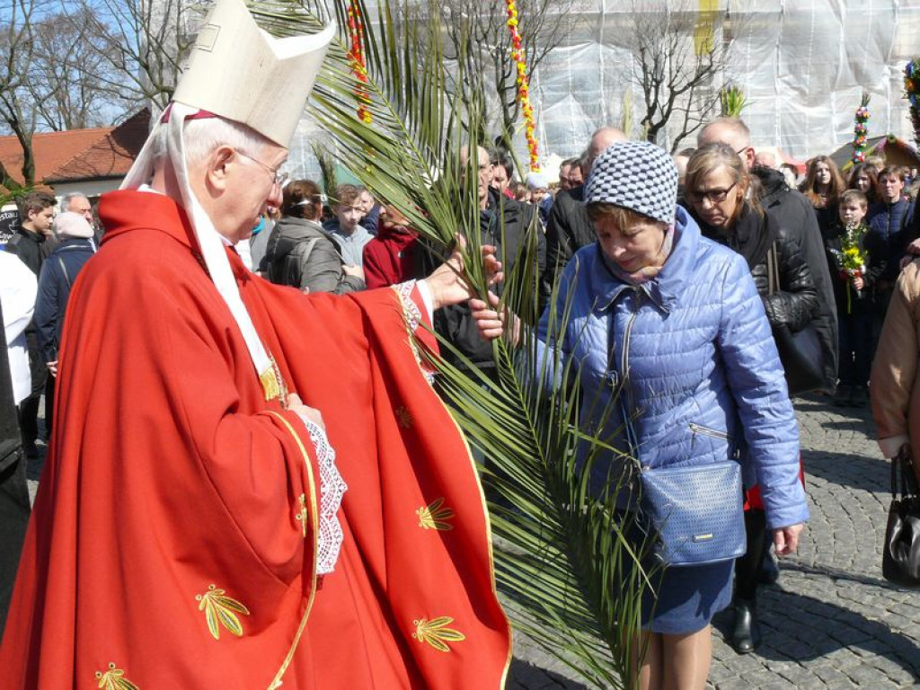 Młodzi ze Słupi wygrali diecezjalny konkurs palm