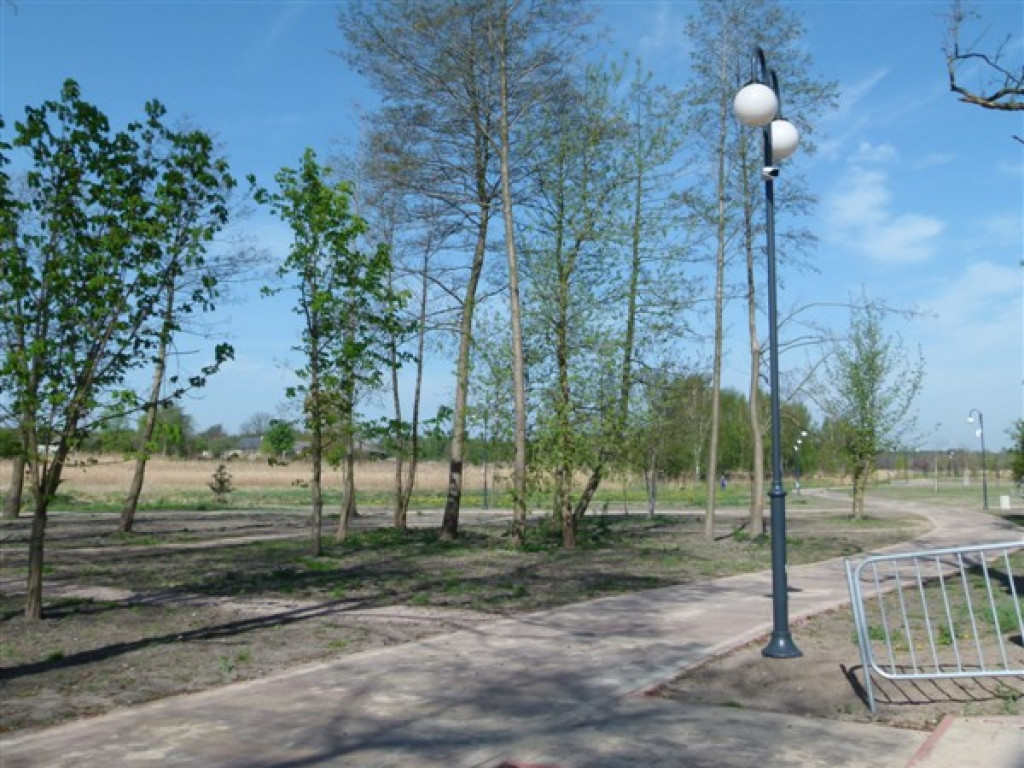 Monitoring w parku nad Moszczenicą