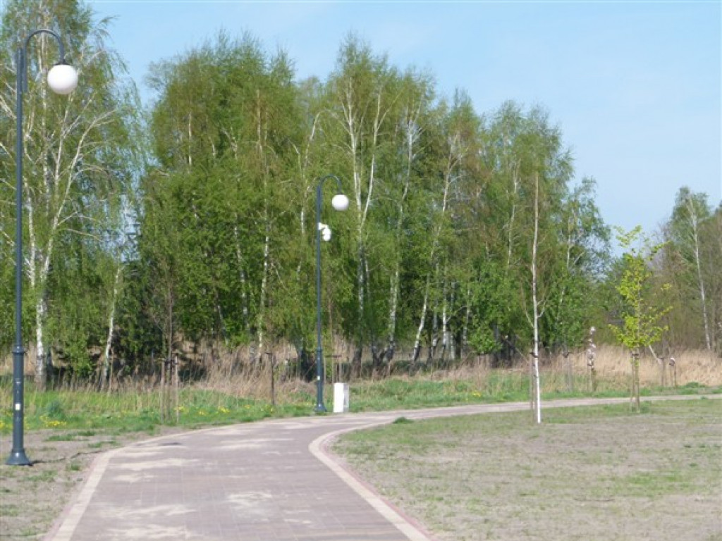Monitoring w parku nad Moszczenicą