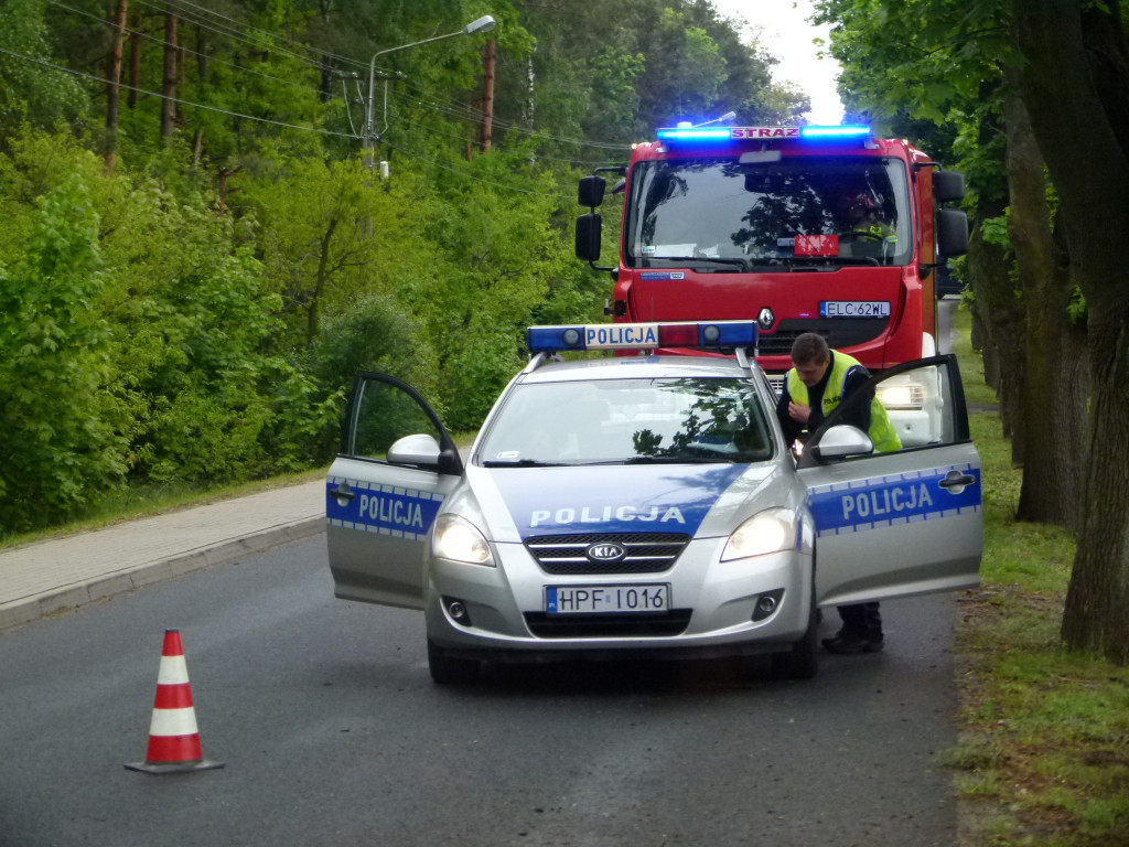 Toyota uderzyła w drzewo w Domaniewicach