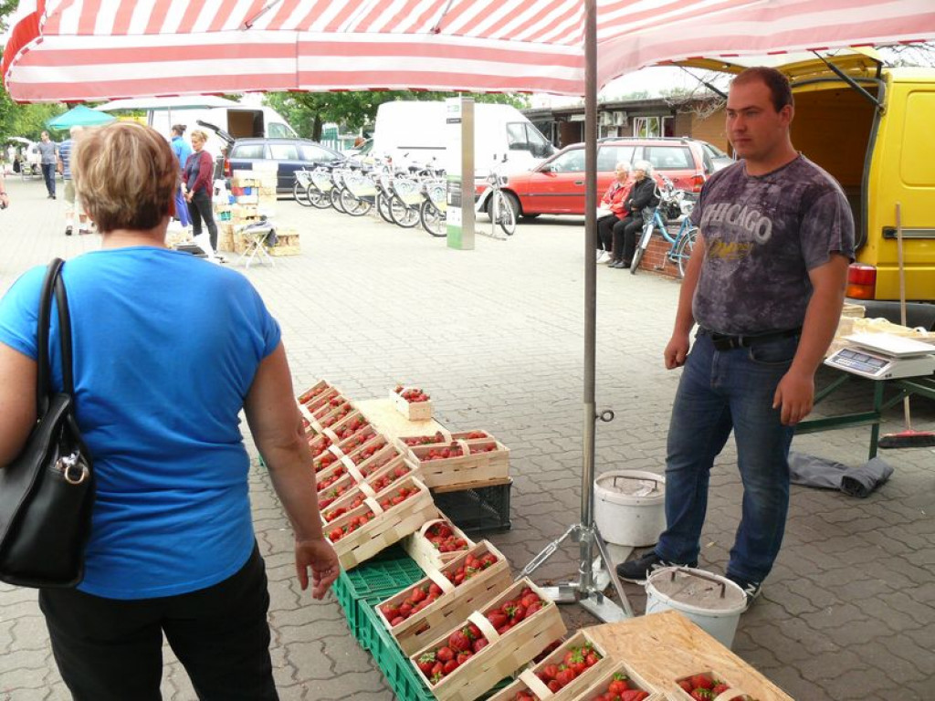 Rozkręca się sezon na truskawki
