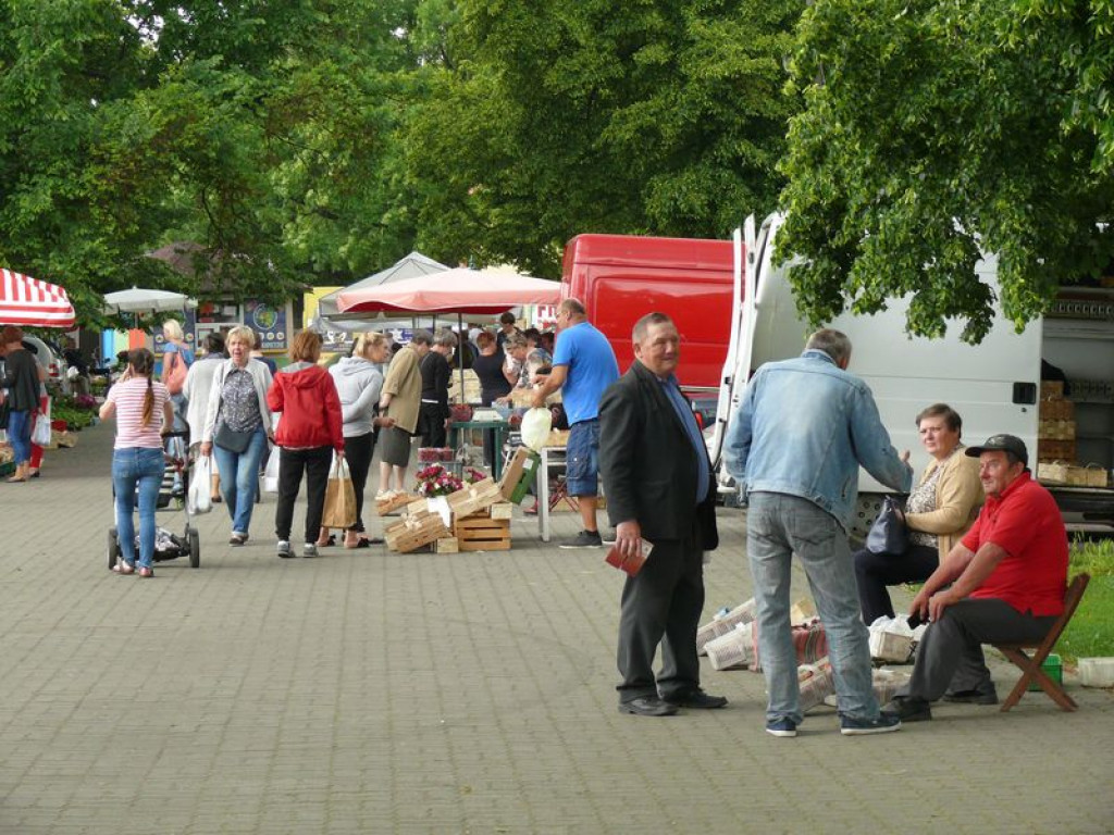 Rozkręca się sezon na truskawki