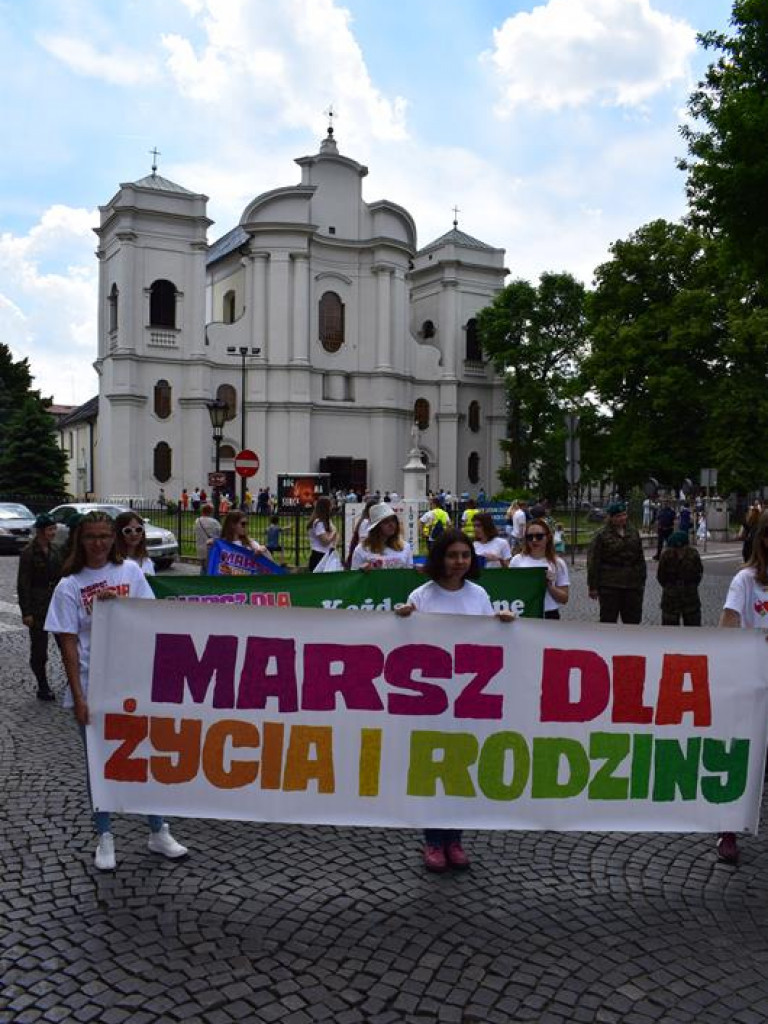 VI Marsz dla Życia i Rodziny oraz Piknik Rodzinny w Łowiczu (foto i video)
