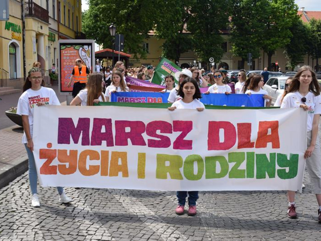 VI Marsz dla Życia i Rodziny oraz Piknik Rodzinny w Łowiczu (foto i video)