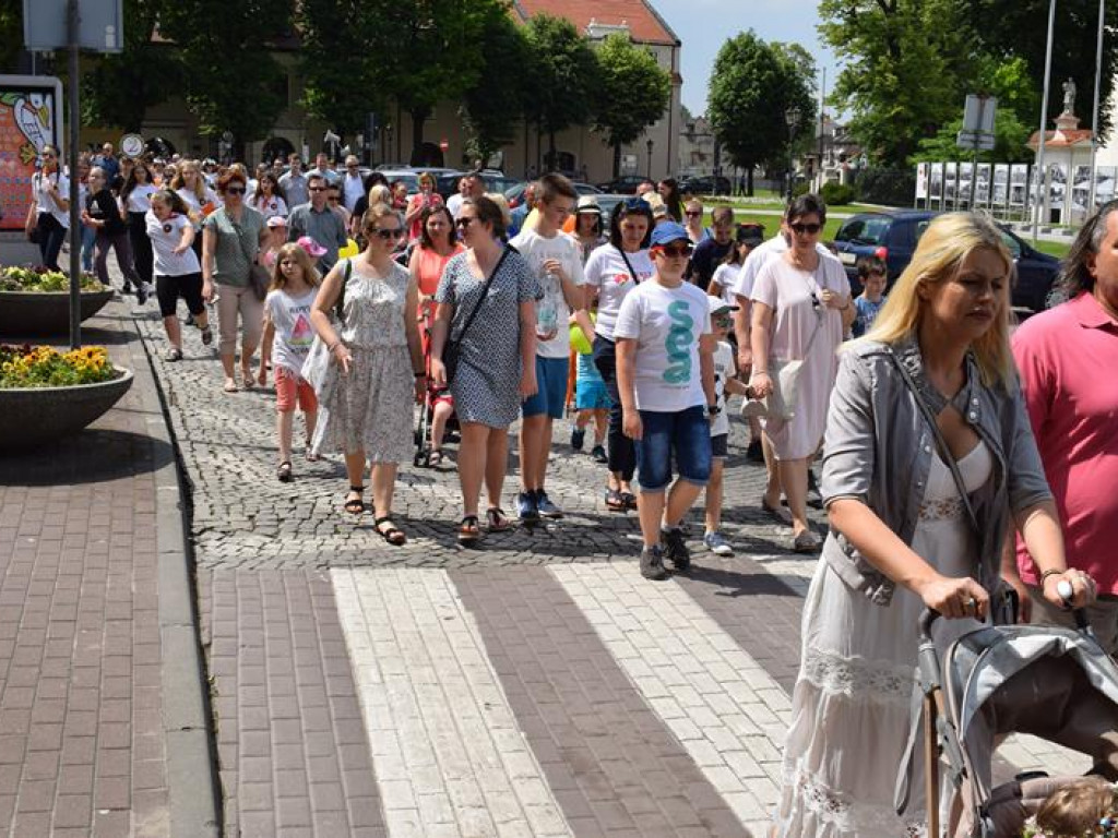 VI Marsz dla Życia i Rodziny oraz Piknik Rodzinny w Łowiczu (foto i video)