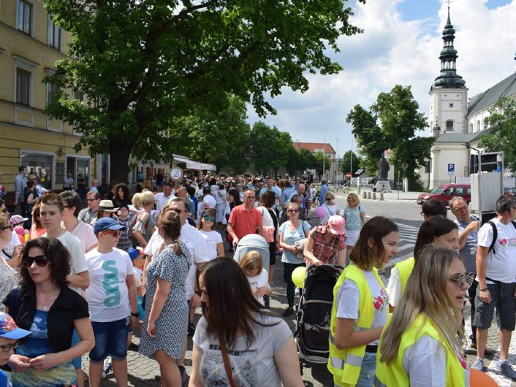 VI Marsz dla Życia i Rodziny oraz Piknik Rodzinny w Łowiczu (foto i video)