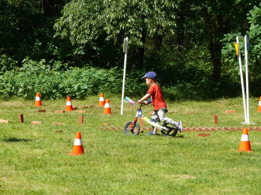 Rodziny bawiły się na pikniku w Lasku Miejskim