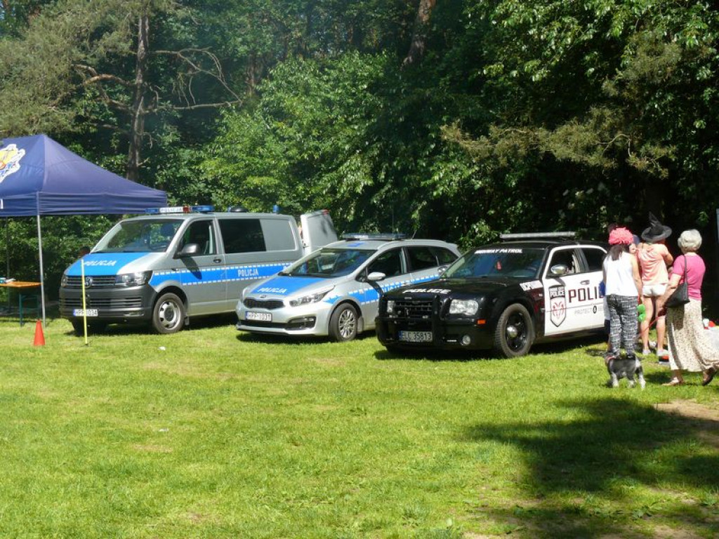 Rodziny bawiły się na pikniku w Lasku Miejskim