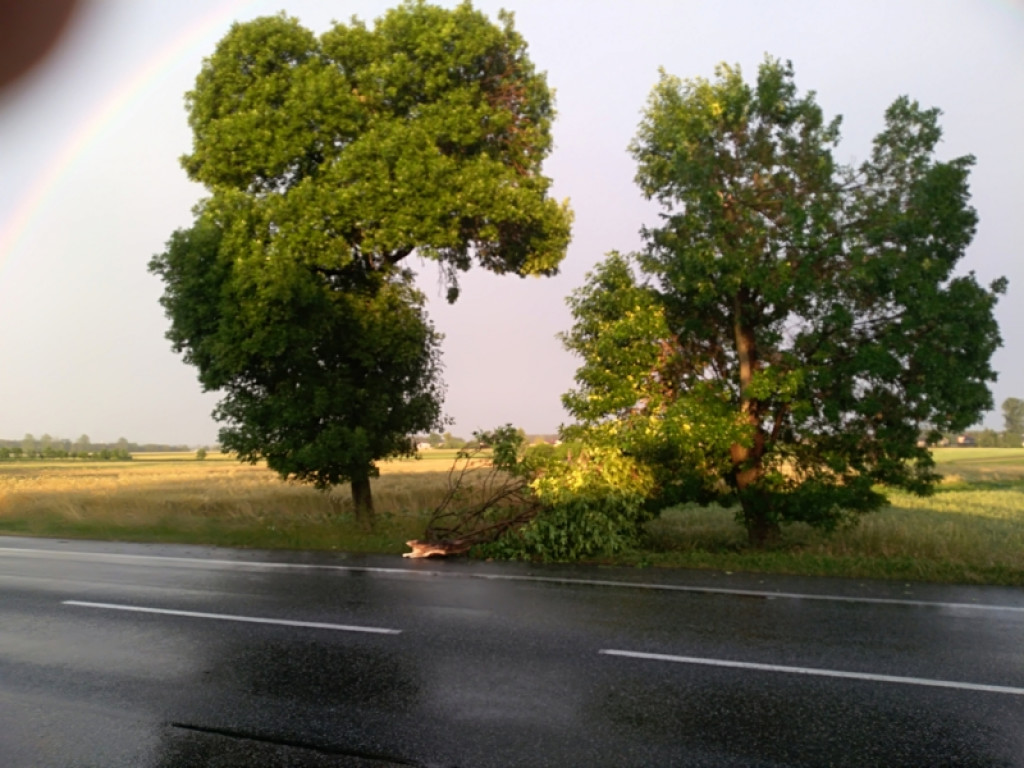 Trwa walka ze skutkami nawałnicy w powiecie łowickim (aktualizacja)