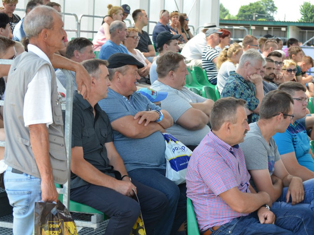 Wystawa zwierząt i targi w Bratoszewicach [zdjęcia, filmy]