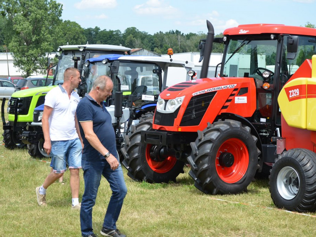 Wystawa zwierząt i targi w Bratoszewicach [zdjęcia, filmy]