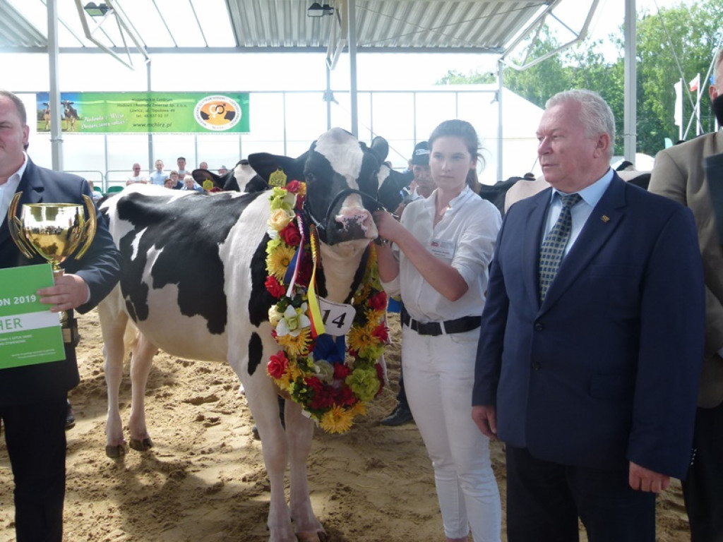 Targi Rolne w Bratoszewicach - przyznano liczne nagrody