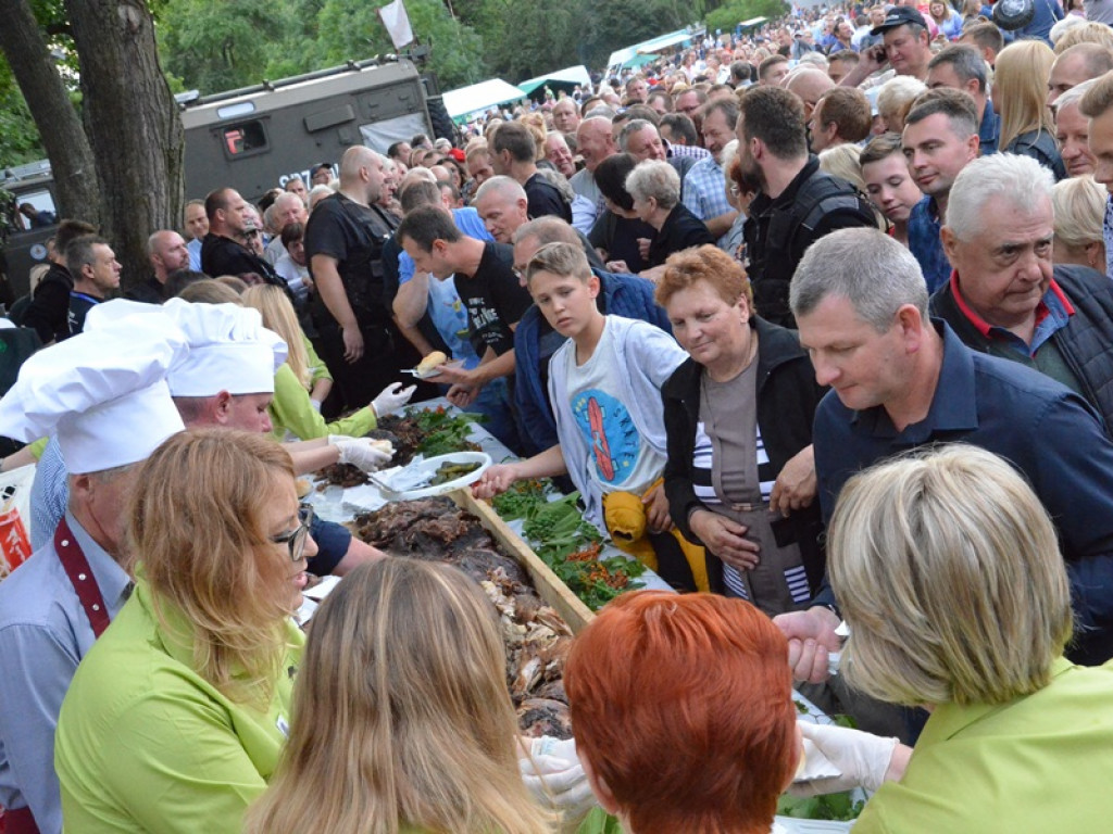 Dzień Kiernozkiego Dzika 2019 [zdjęcia i filmy]