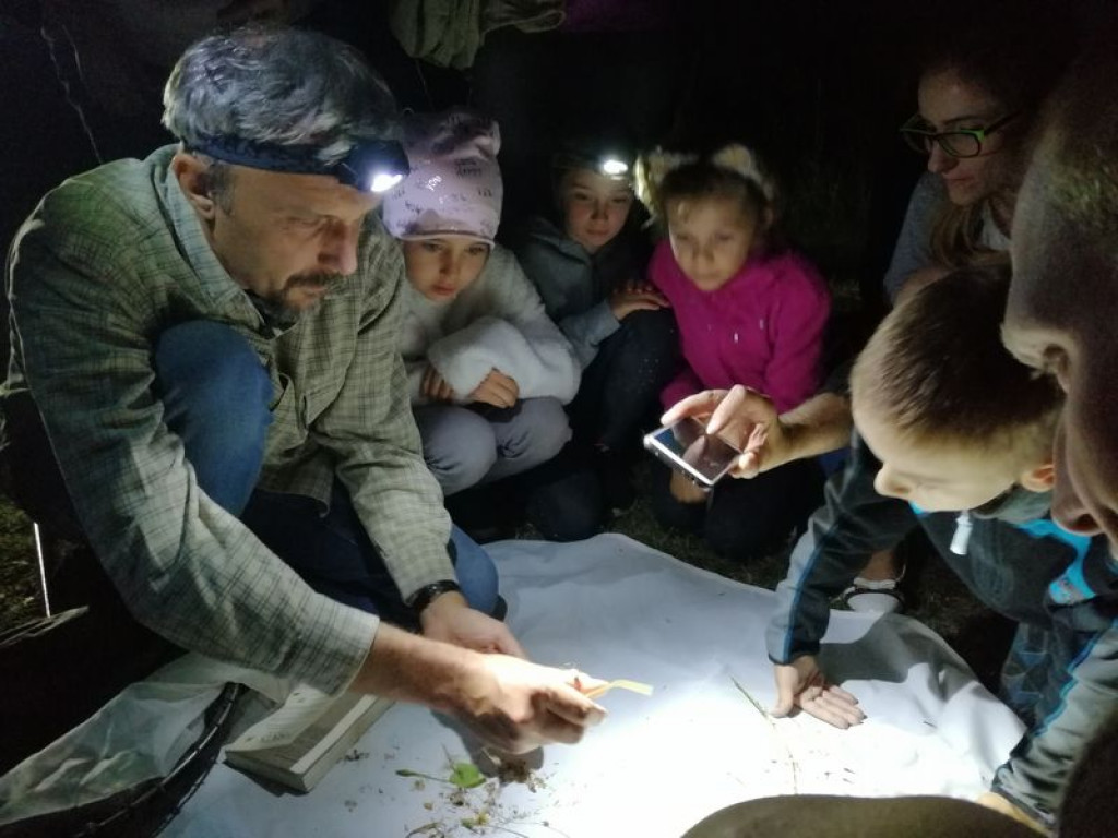 Nocne warsztaty w nieborowskim parku