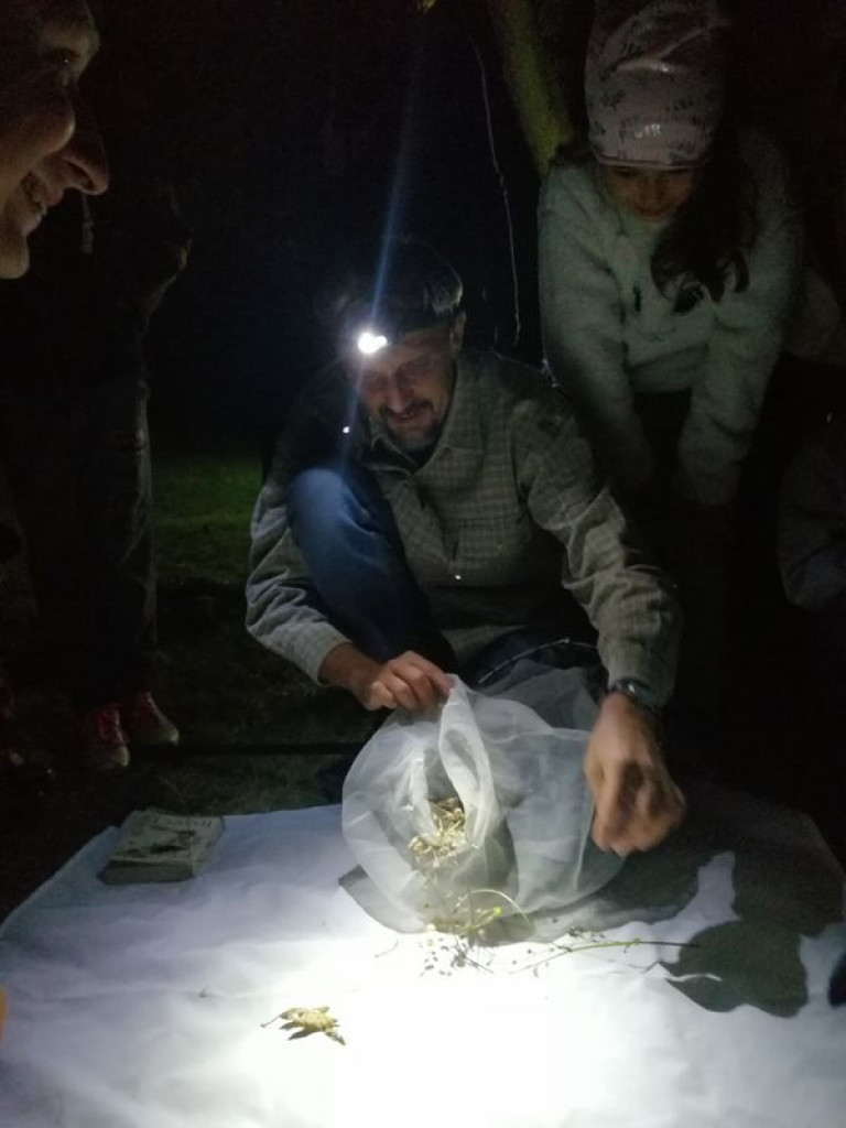 Nocne warsztaty w nieborowskim parku