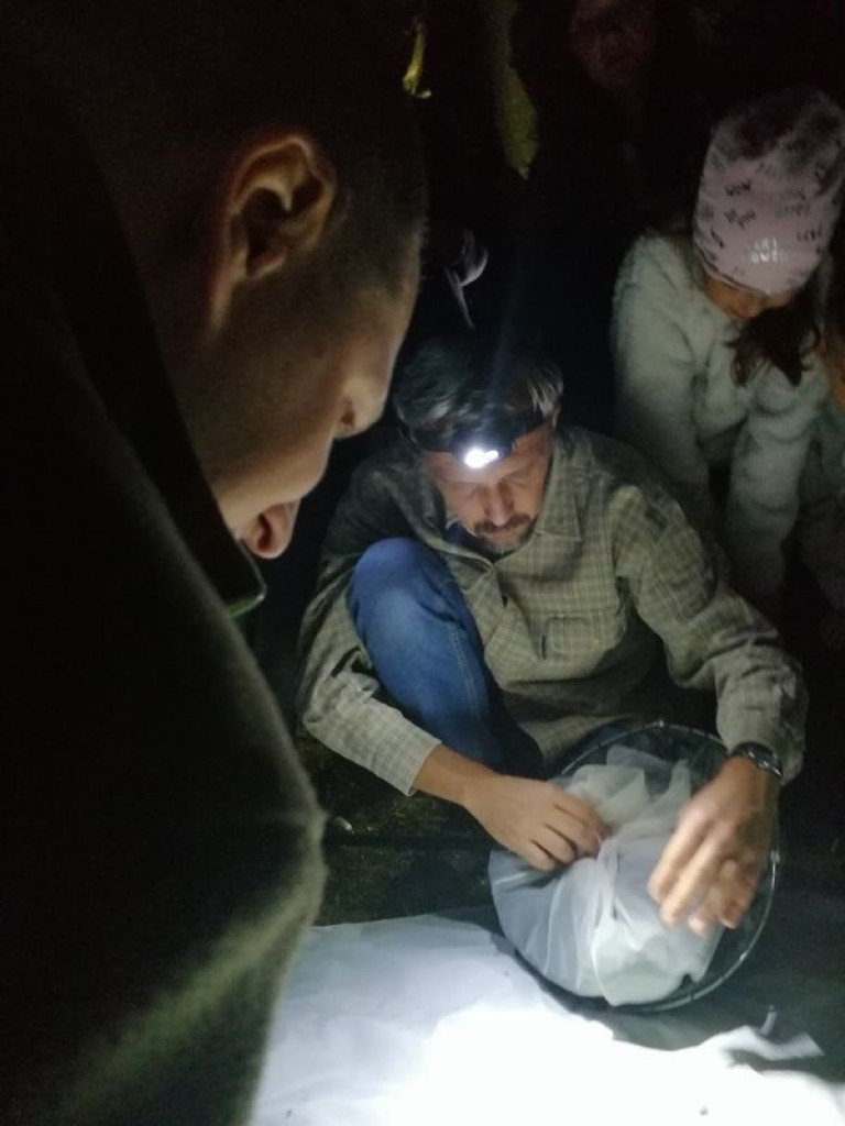 Nocne warsztaty w nieborowskim parku