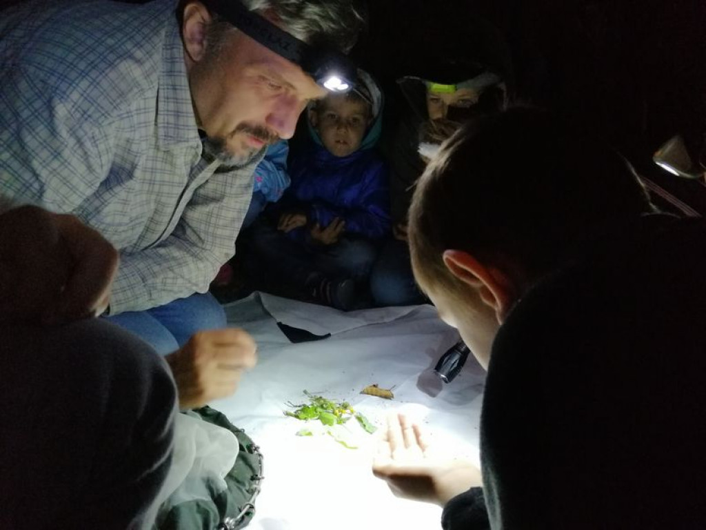 Nocne warsztaty w nieborowskim parku
