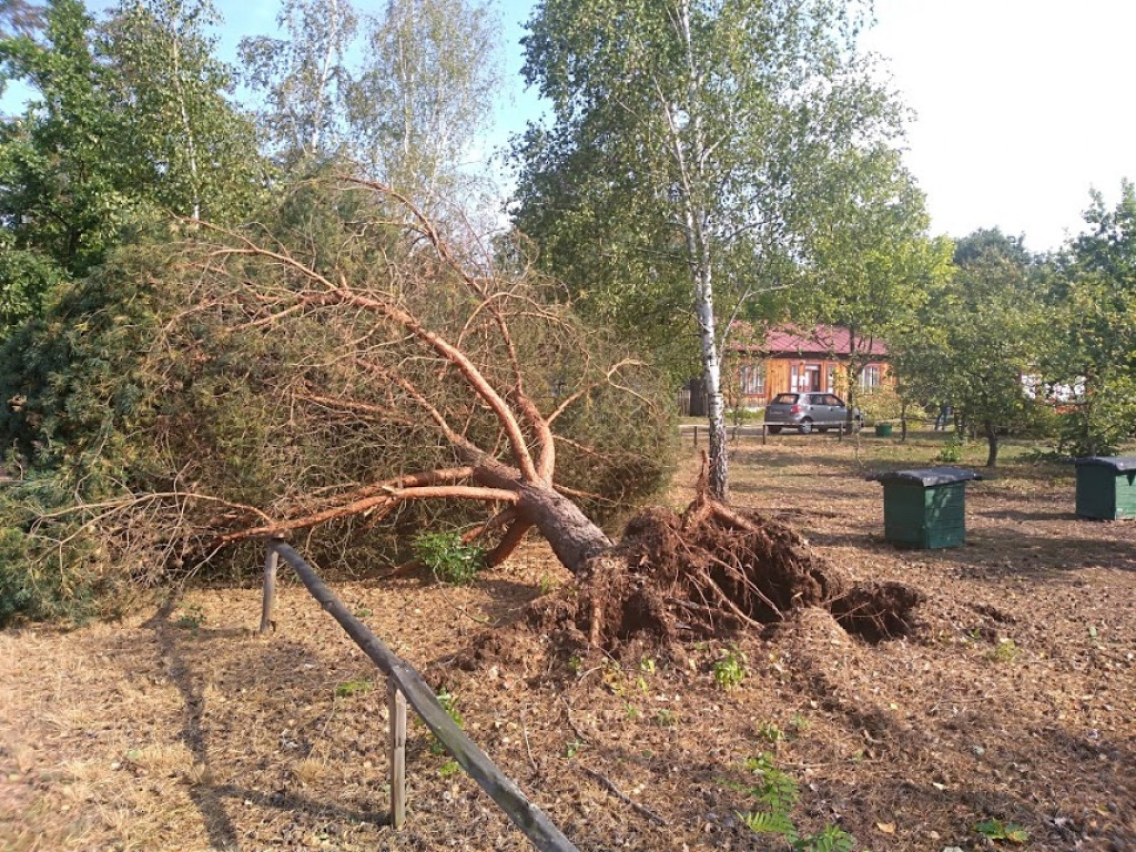 Skansen w Maurzycach zniszczony po burzy, straty szacowane na milion złotych
