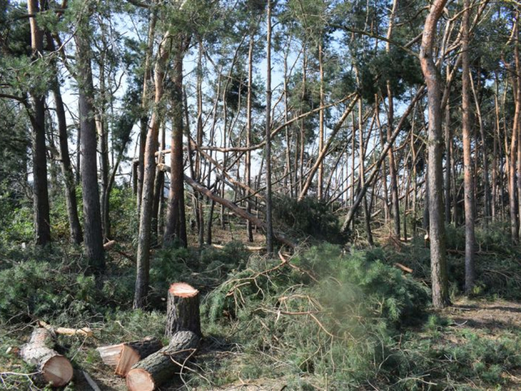 Skansen w Maurzycach zniszczony po burzy, straty szacowane na milion złotych