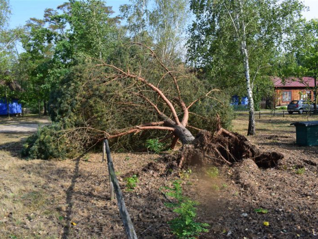 Skansen w Maurzycach zniszczony po burzy, straty szacowane na milion złotych