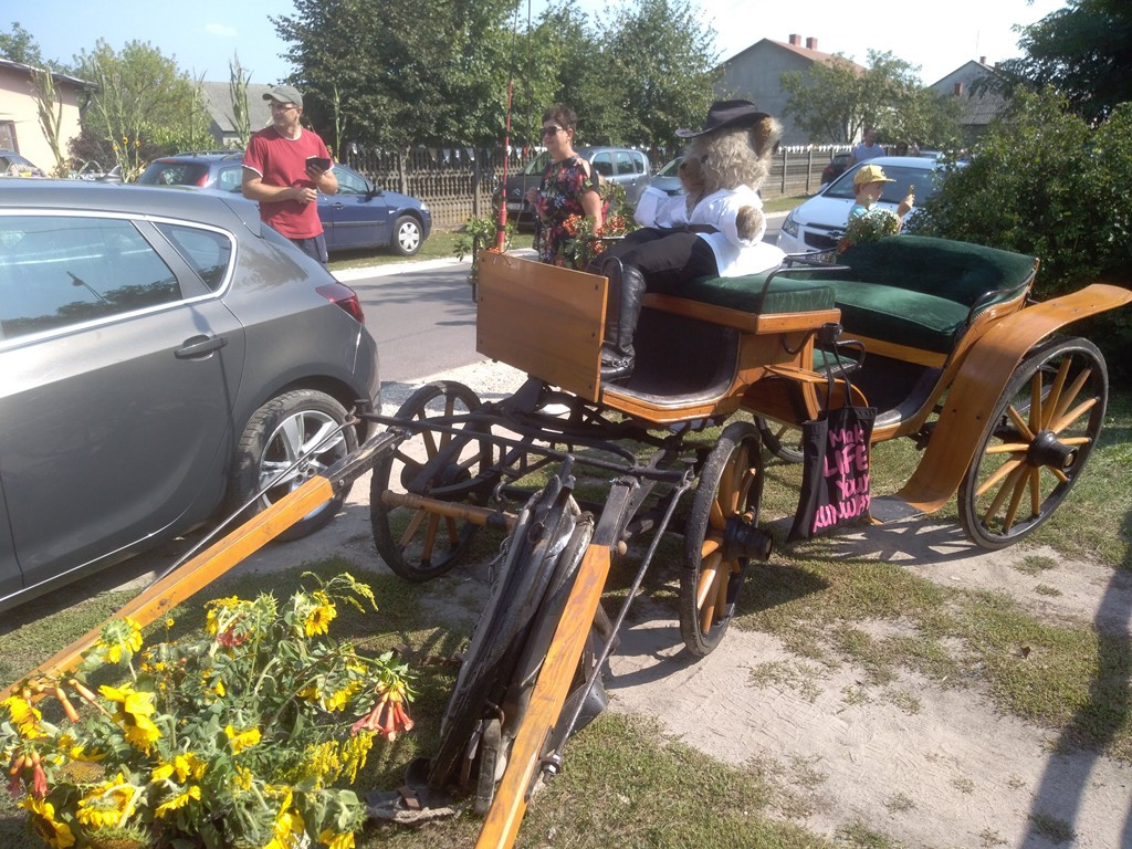 Dożynki gminne przy OSP Polesie [zdjęcia]