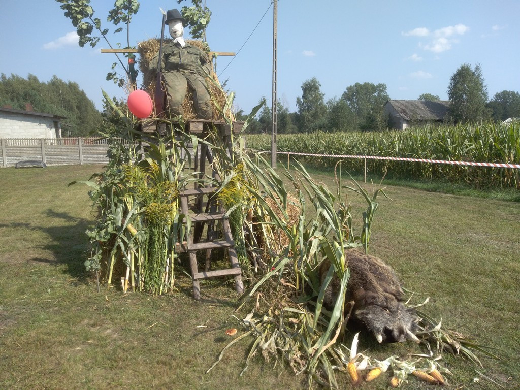 Dożynki gminne przy OSP Polesie [zdjęcia]