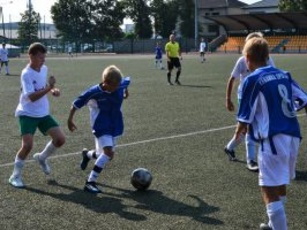 Dobra passa Pelikana-2006