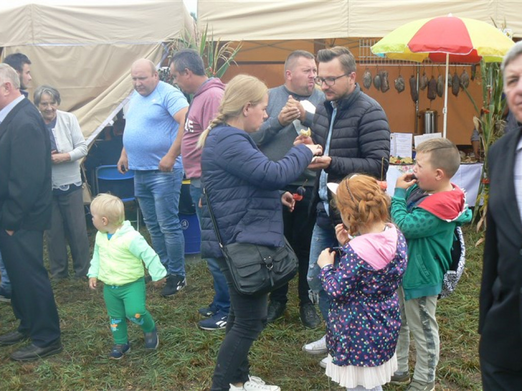 Gmina Stryków bawi się na dożynkach w Gozdowie