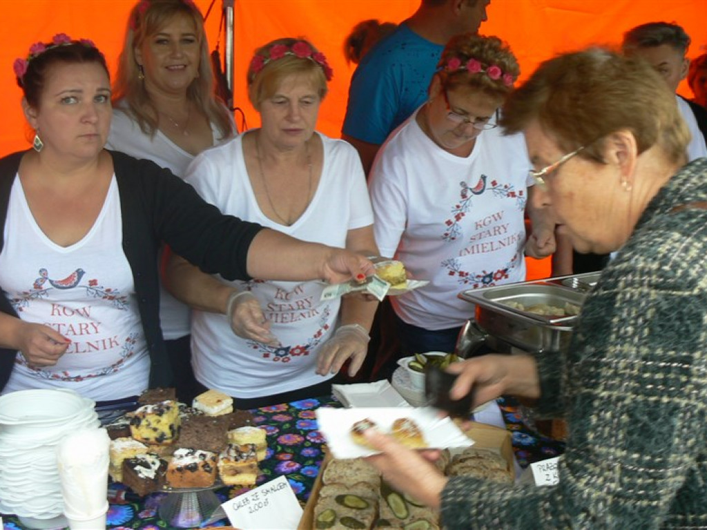 Gmina Stryków bawi się na dożynkach w Gozdowie