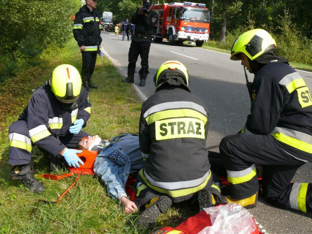 Strażacy ćwiczyli pod Nieborowem