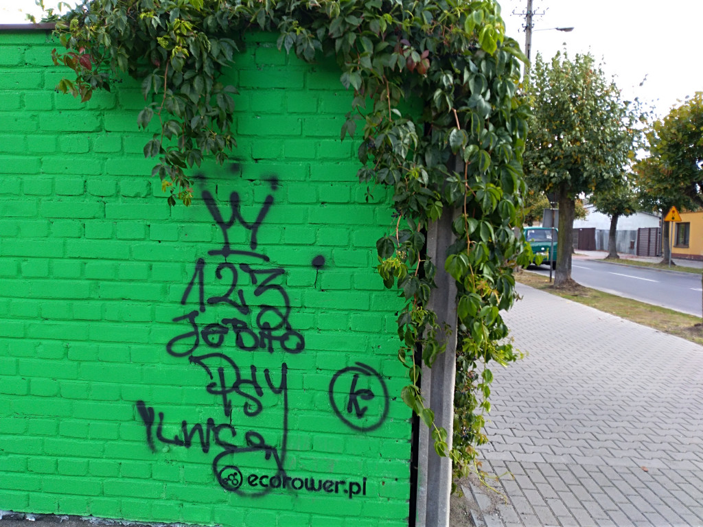 Wulgarny napis oszpecił mural