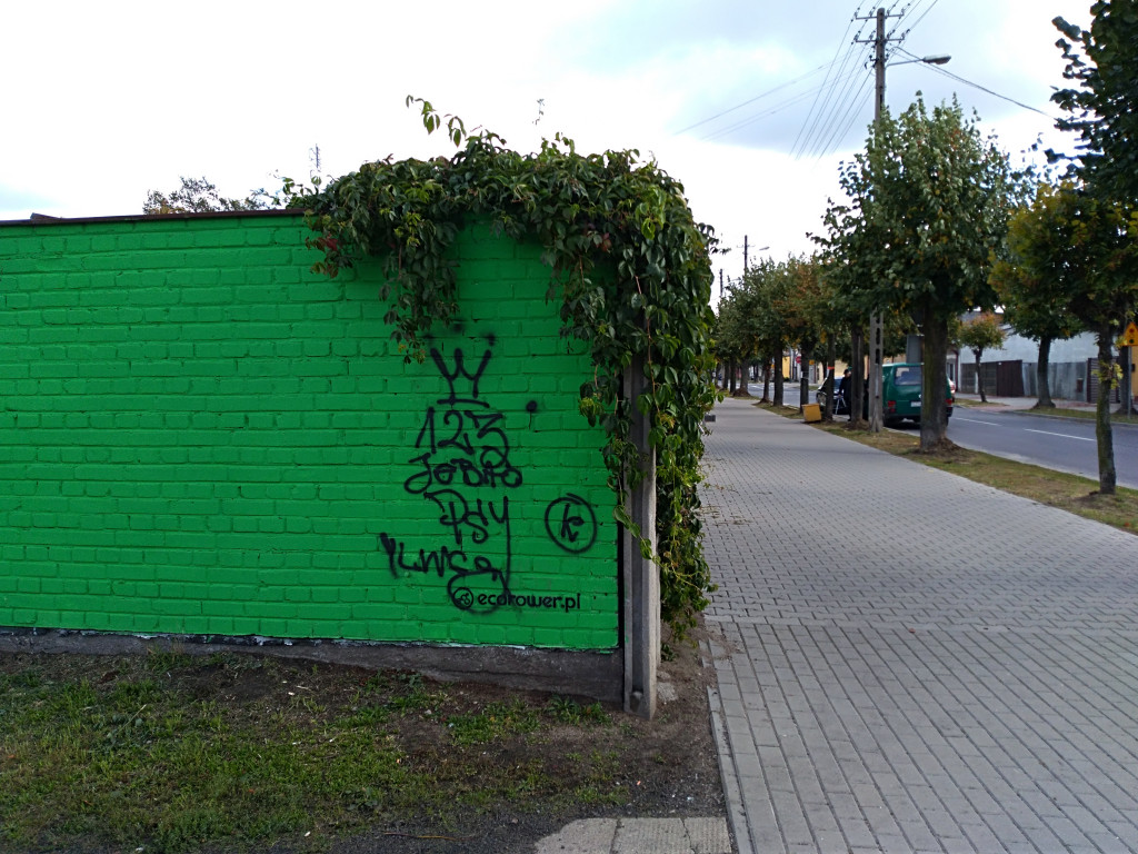 Wulgarny napis oszpecił mural