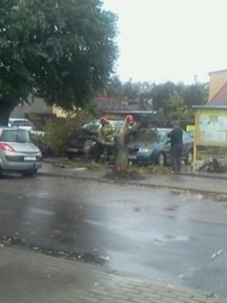 Stryków: Drzewo spadło na dwa samochody