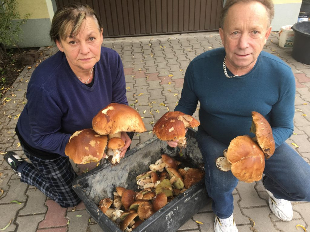 Kilogramowy prawdziwek z Krępy i inne okazy