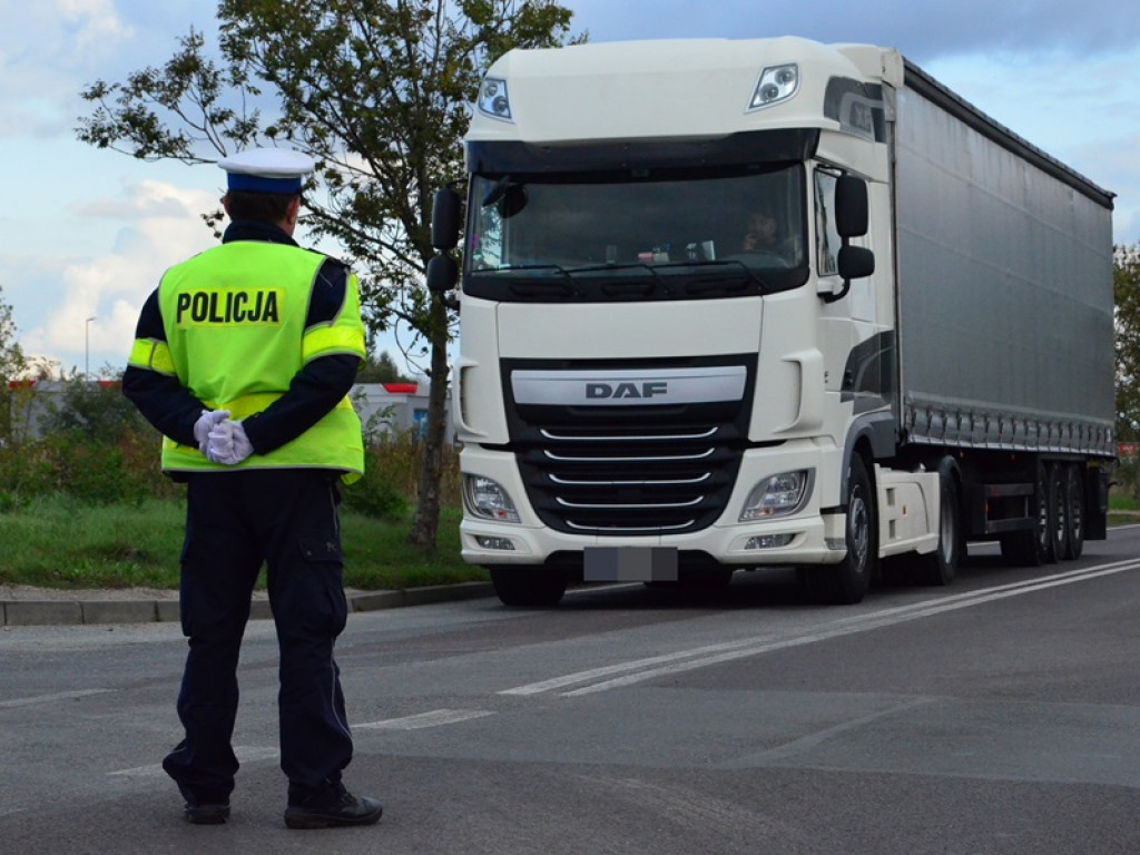 Chodzą po pasach i blokują Warszawską i Bolimowską