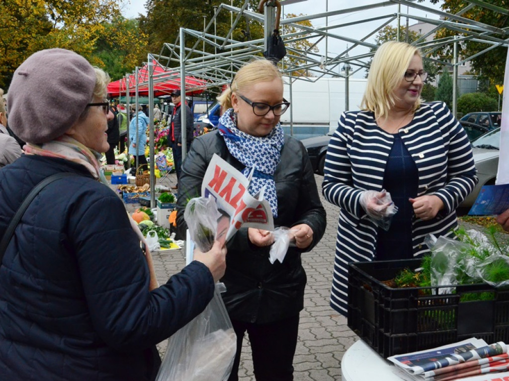Kandydaci PiS rozdawali sadzonki drzew na targowisku