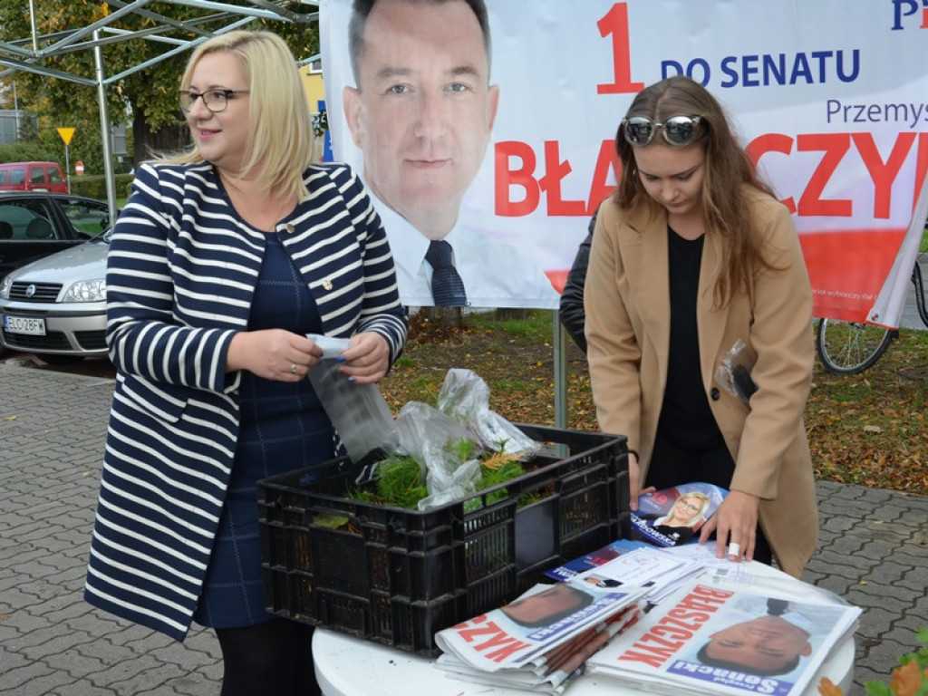 Kandydaci PiS rozdawali sadzonki drzew na targowisku