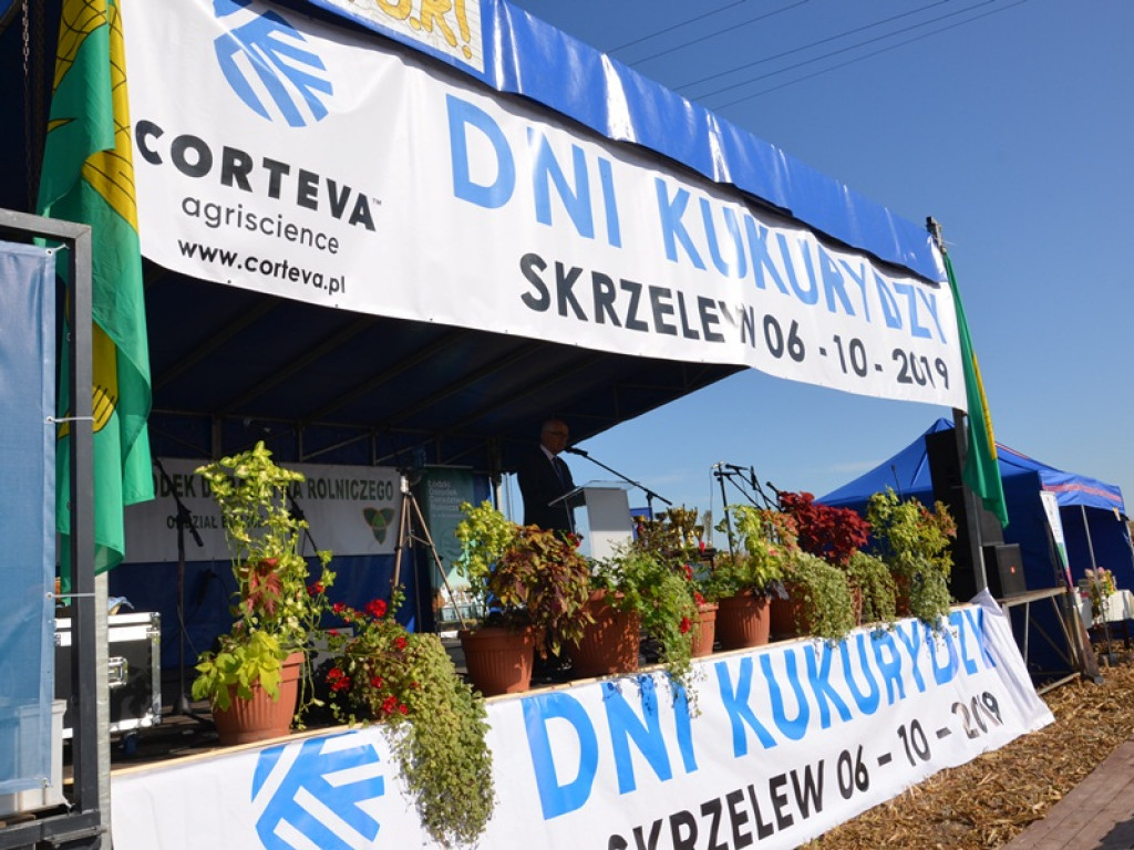Dni Kukurydzy w Skrzelewie popularne także wśród naszych rolników