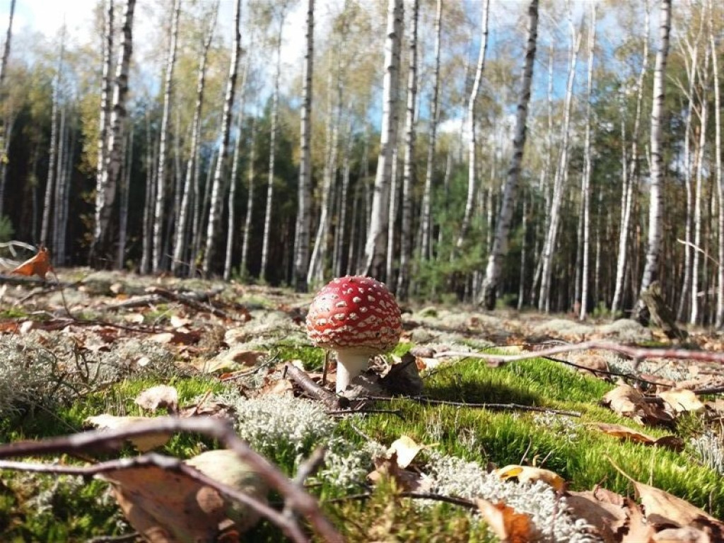 Troje uczniów II LO laureatami konkursu fotograficznego