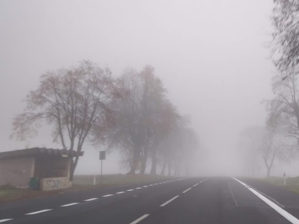 Mgła utrudnia życie kierowcom