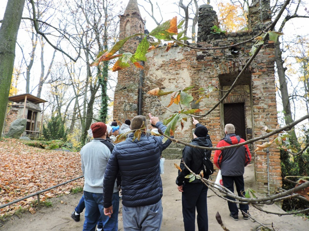Więźniowie odwiedzili park w Arkadii