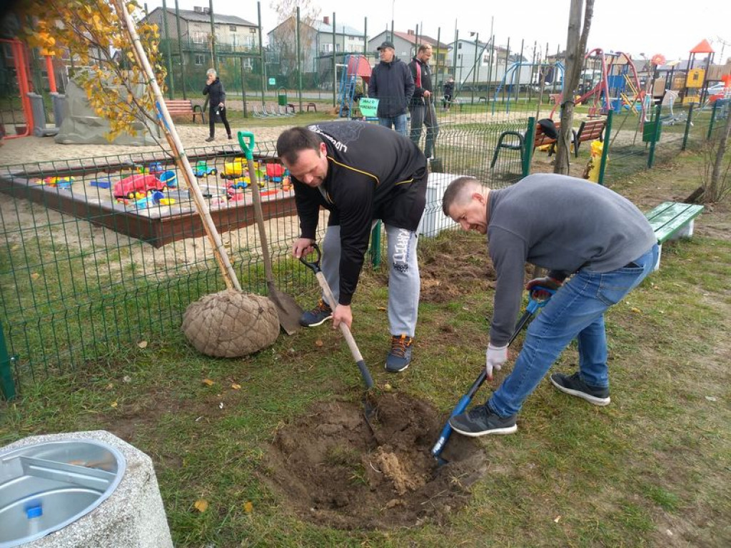 Przybyło drzew na placu zabaw na os. Górki