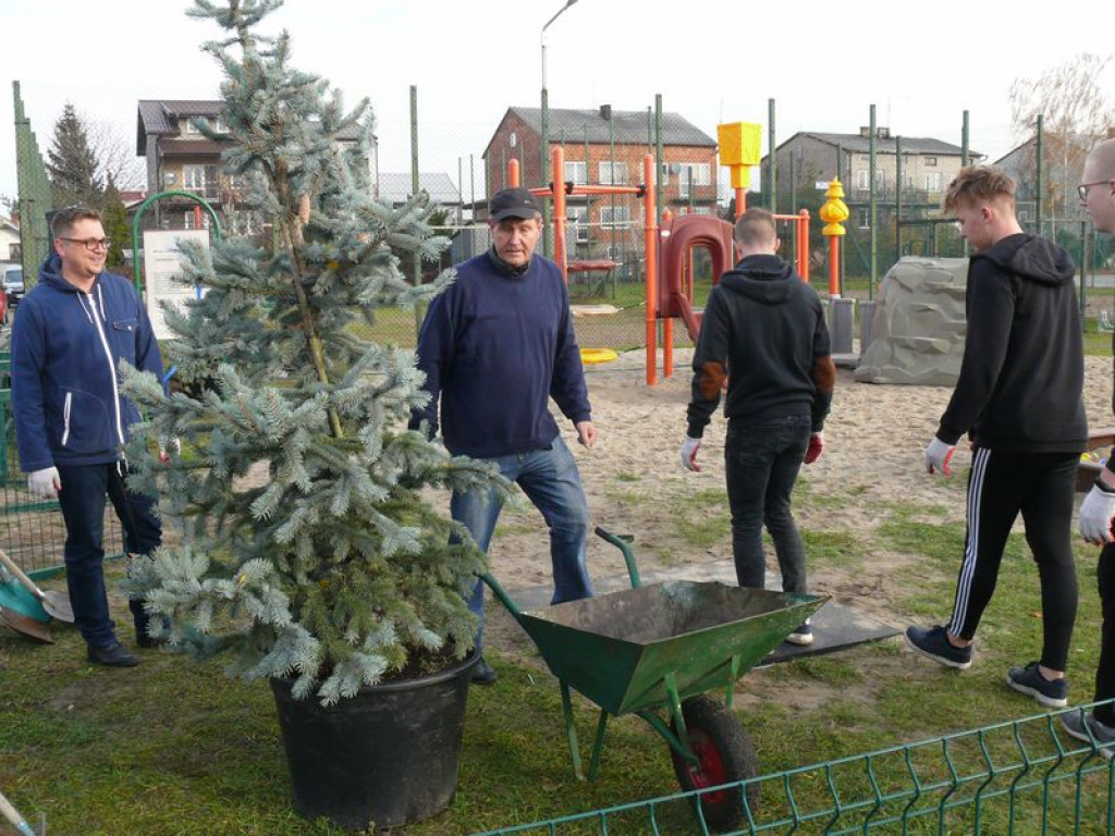 Przybyło drzew na placu zabaw na os. Górki