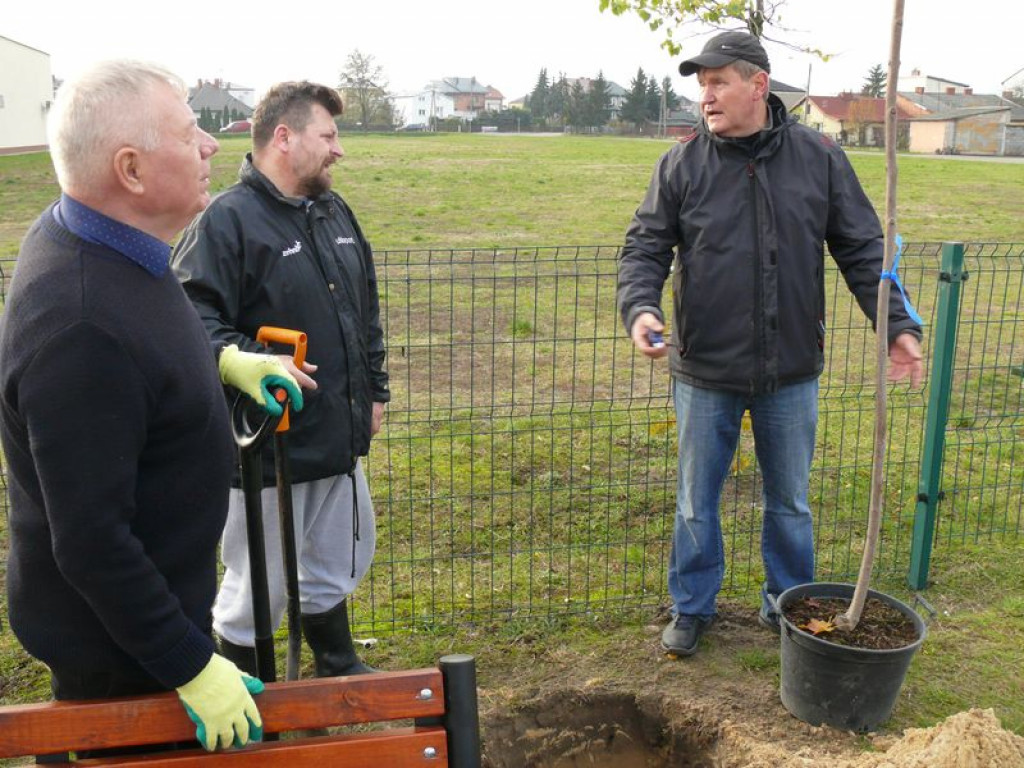 Przybyło drzew na placu zabaw na os. Górki