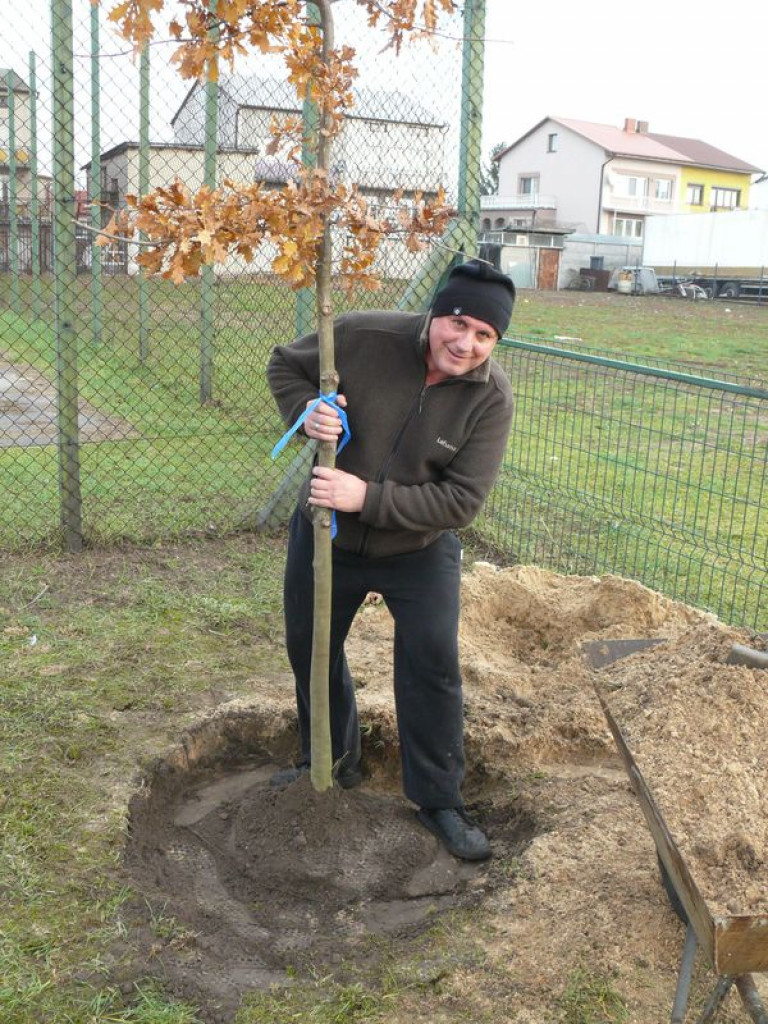 Przybyło drzew na placu zabaw na os. Górki