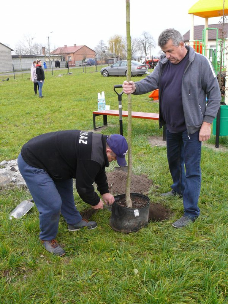 Sadzili drzewa przy OSP w Rogóźnie